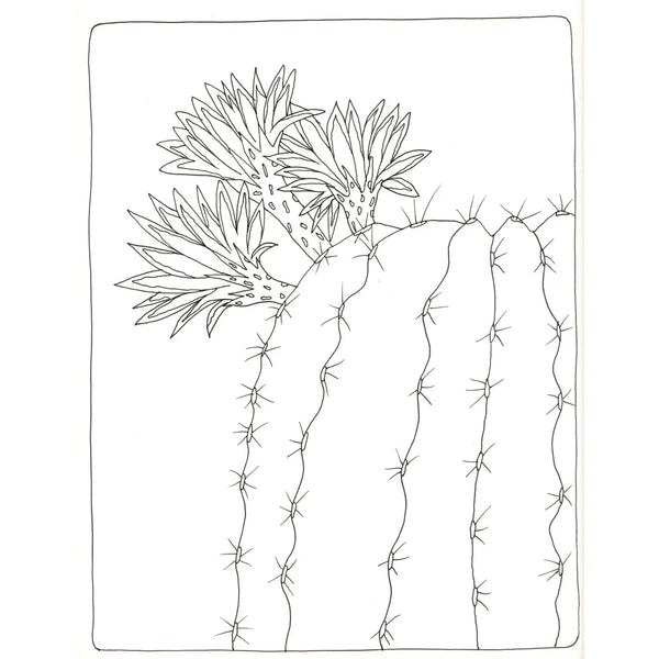 Blossoming Cacti Coloring Card Set